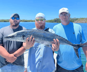Tampa Fishing report 
